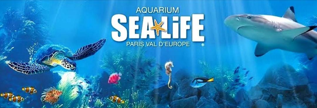 Appartement Spacieux Disneyland - La Vallee Village - 6 Personnes - 60M2 Saint-Germain-sur-Morin Eksteriør bilde