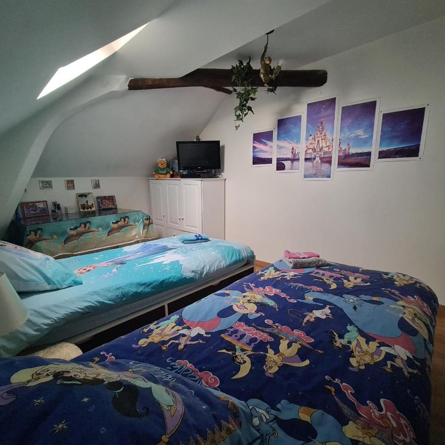 Appartement Spacieux Disneyland - La Vallee Village - 6 Personnes - 60M2 Saint-Germain-sur-Morin Eksteriør bilde
